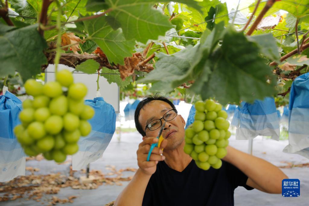 捕鱼机游戏厅